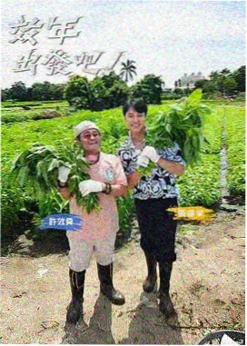 访谈综艺海报